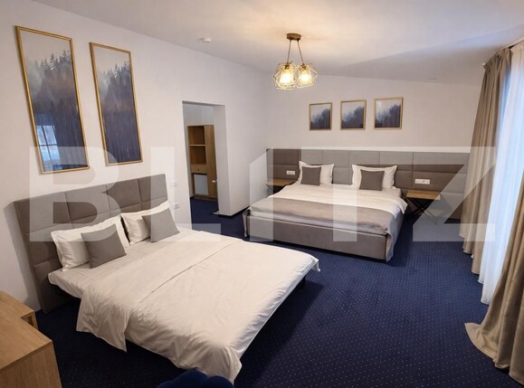 Spațiu comercial de vânzare Sugag - 186061SVC | BLITZ Alba Iulia | Poza7