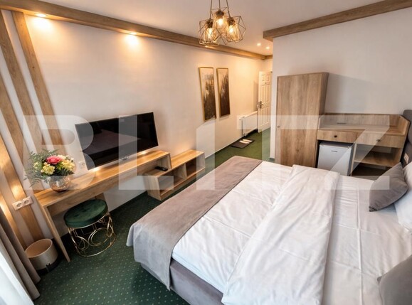 Spațiu comercial de vânzare Sugag - 186061SVC | BLITZ Alba Iulia | Poza4