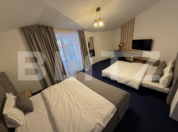 Spațiu comercial de vânzare Sugag - 186061SVC | BLITZ Alba Iulia | Poza9