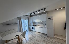Apartament 2 camere, 55 mp, zona Cetate