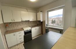 Apartament 2 camere, 50 mp, zona Cetate