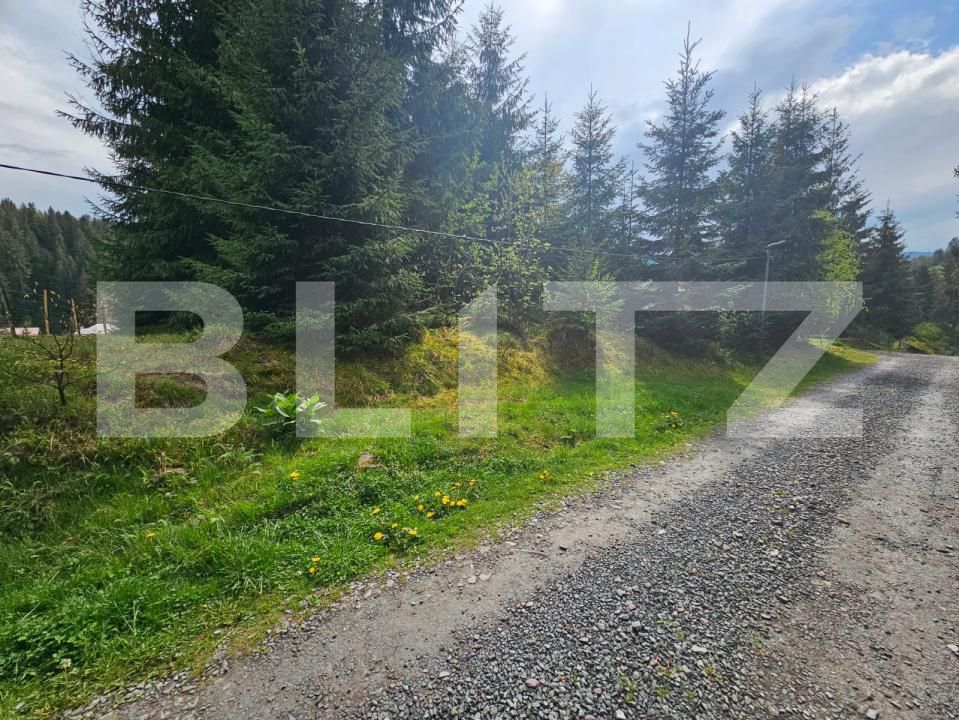 Teren de vânzare Arieseni - 186586TV | BLITZ Alba Iulia | Poza5