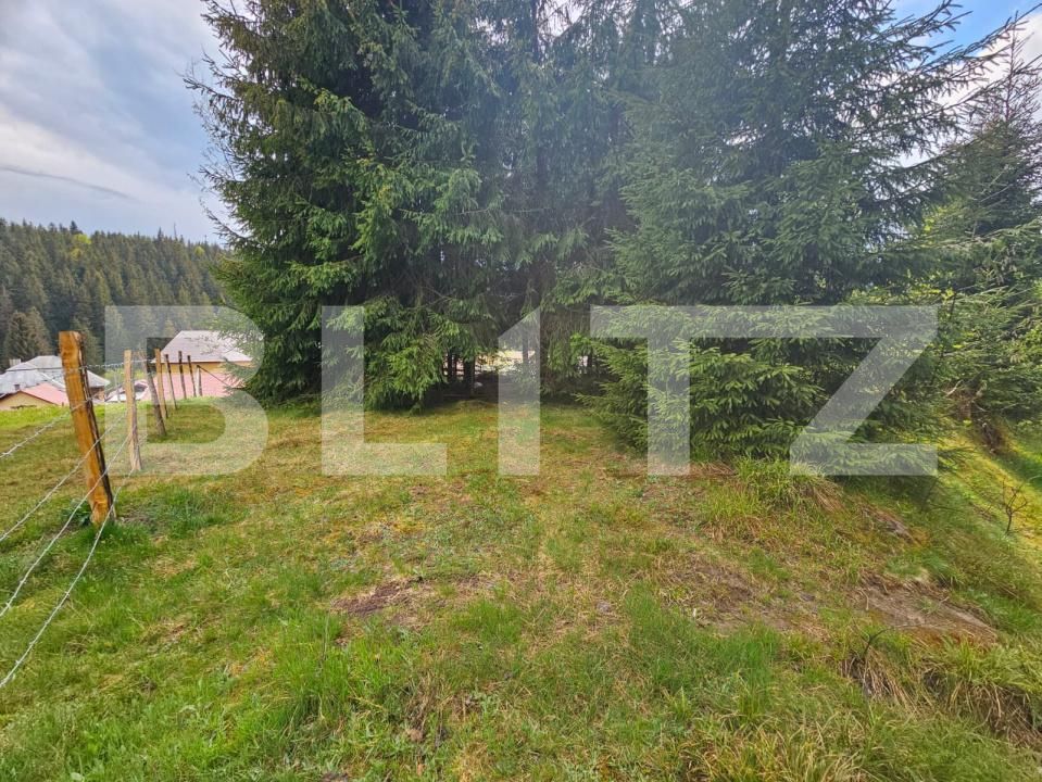 Teren de vânzare Arieseni - 186586TV | BLITZ Alba Iulia | Poza3