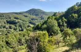 Teren generos de 70290 mp, 5045 mp intravilan, Poiana Ampoiului, Meteș