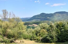 Teren generos de 70290 mp, 5045 mp intravilan, Poiana Ampoiului, Meteș