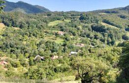 Teren generos de 70290 mp, 5045 mp intravilan, Poiana Ampoiului, Meteș