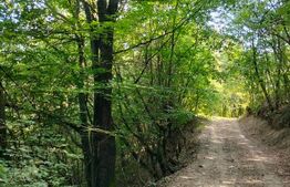 Teren generos de 70290 mp, 5045 mp intravilan, Poiana Ampoiului, Meteș