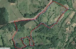 Teren generos de 70290 mp, 5045 mp intravilan, Poiana Ampoiului, Meteș