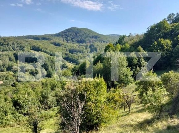 Teren de vânzare Poiana Ampoiului - 186677TV | BLITZ Alba Iulia | Poza2