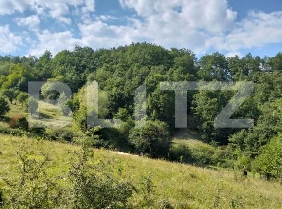 Teren de vânzare Poiana Ampoiului - 186677TV | BLITZ Alba Iulia | Poza7