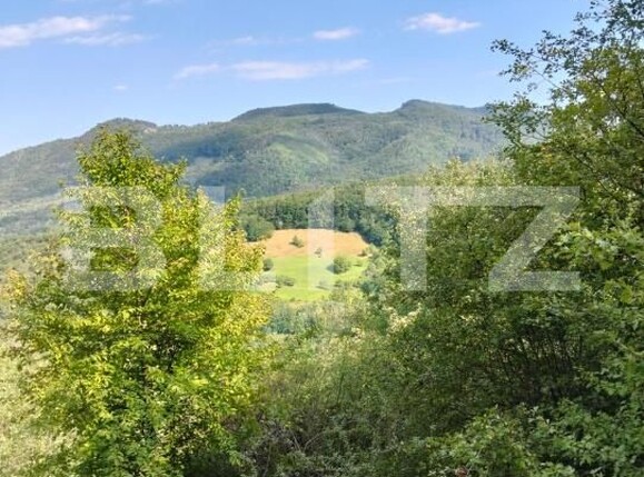 Teren de vânzare Poiana Ampoiului - 186677TV | BLITZ Alba Iulia | Poza5