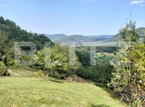 Teren de vânzare Poiana Ampoiului - 186677TV | BLITZ Alba Iulia | Poza4