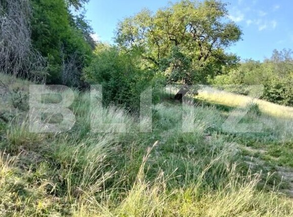 Teren de vânzare Poiana Ampoiului - 186677TV | BLITZ Alba Iulia | Poza6