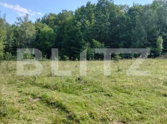 Teren de vânzare Poiana Ampoiului - 186677TV | BLITZ Alba Iulia | Poza10