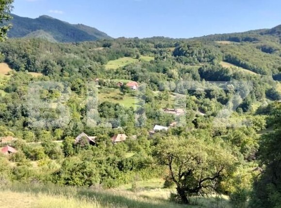 Teren de vânzare Poiana Ampoiului - 186677TV | BLITZ Alba Iulia | Poza3