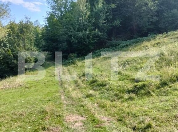 Teren de vânzare Poiana Ampoiului - 186677TV | BLITZ Alba Iulia | Poza9