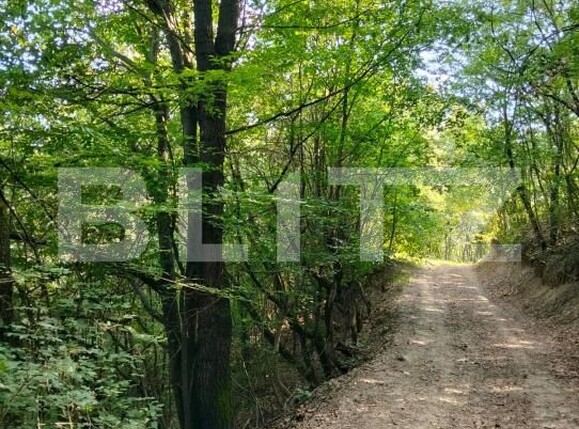 Teren de vânzare Poiana Ampoiului - 186677TV | BLITZ Alba Iulia | Poza11