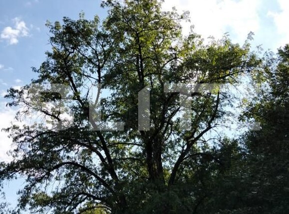 Teren de vânzare Poiana Ampoiului - 186677TV | BLITZ Alba Iulia | Poza12