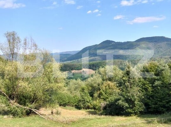 Teren de vânzare Poiana Ampoiului - 186677TV | BLITZ Alba Iulia | Poza8