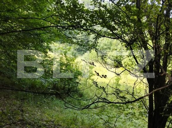 Teren de vânzare Poiana Ampoiului - 186677TV | BLITZ Alba Iulia | Poza13