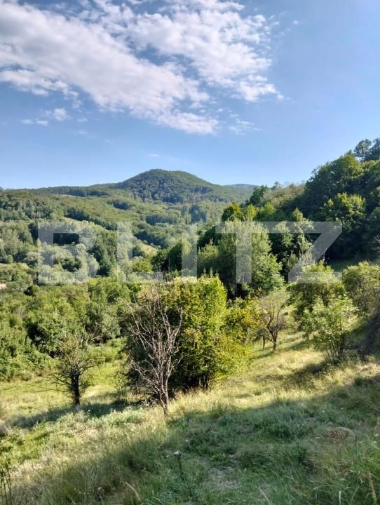 Teren de vânzare Poiana Ampoiului - 186677TV | BLITZ Alba Iulia | Poza2