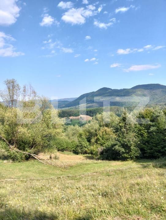 Teren de vânzare Poiana Ampoiului - 186677TV | BLITZ Alba Iulia | Poza8