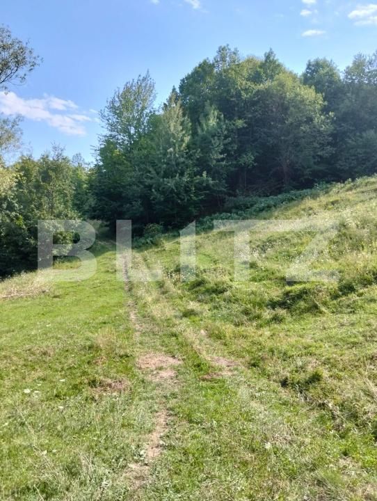 Teren de vânzare Poiana Ampoiului - 186677TV | BLITZ Alba Iulia | Poza9