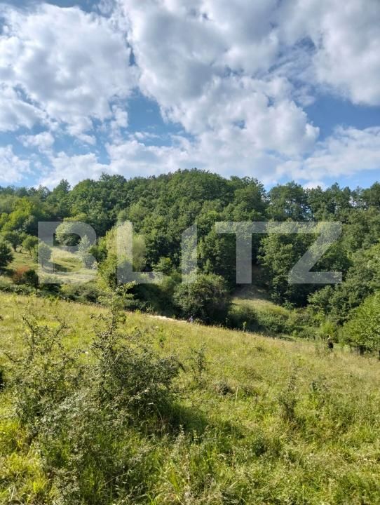 Teren de vânzare Poiana Ampoiului - 186677TV | BLITZ Alba Iulia | Poza7