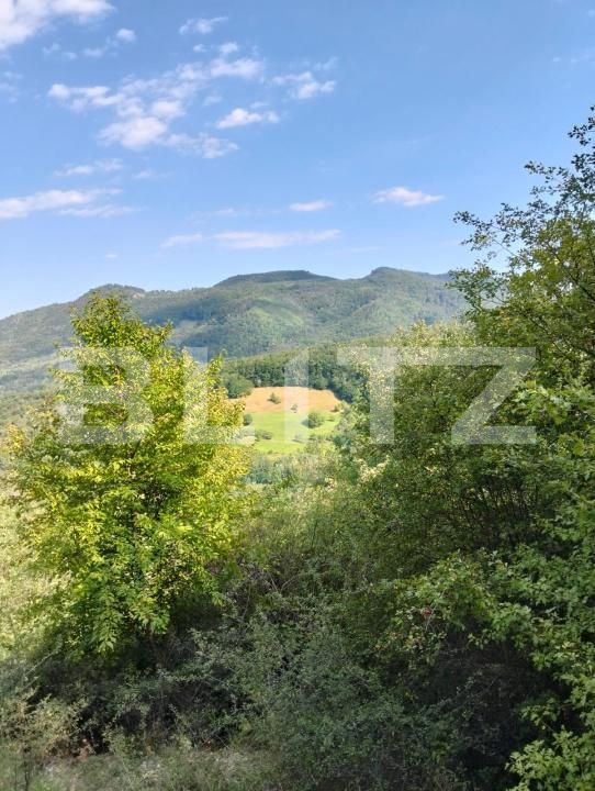 Teren de vânzare Poiana Ampoiului - 186677TV | BLITZ Alba Iulia | Poza5