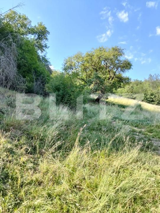 Teren de vânzare Poiana Ampoiului - 186677TV | BLITZ Alba Iulia | Poza6