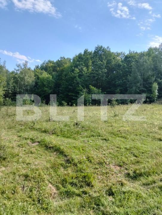 Teren de vânzare Poiana Ampoiului - 186677TV | BLITZ Alba Iulia | Poza10