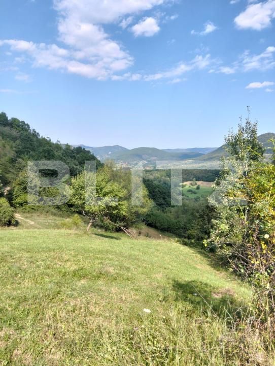 Teren de vânzare Poiana Ampoiului - 186677TV | BLITZ Alba Iulia | Poza4