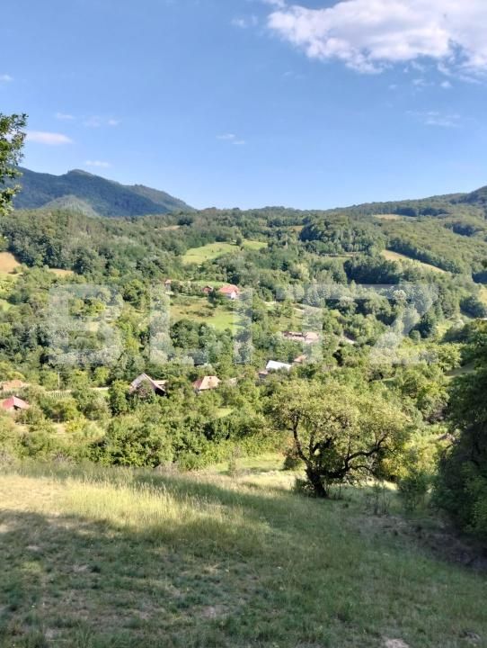 Teren de vânzare Poiana Ampoiului - 186677TV | BLITZ Alba Iulia | Poza3