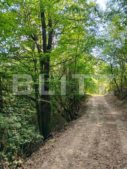 Teren de vânzare Poiana Ampoiului - 186677TV | BLITZ Alba Iulia | Poza11