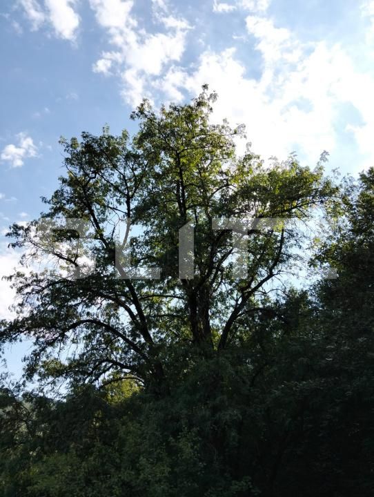 Teren de vânzare Poiana Ampoiului - 186677TV | BLITZ Alba Iulia | Poza12