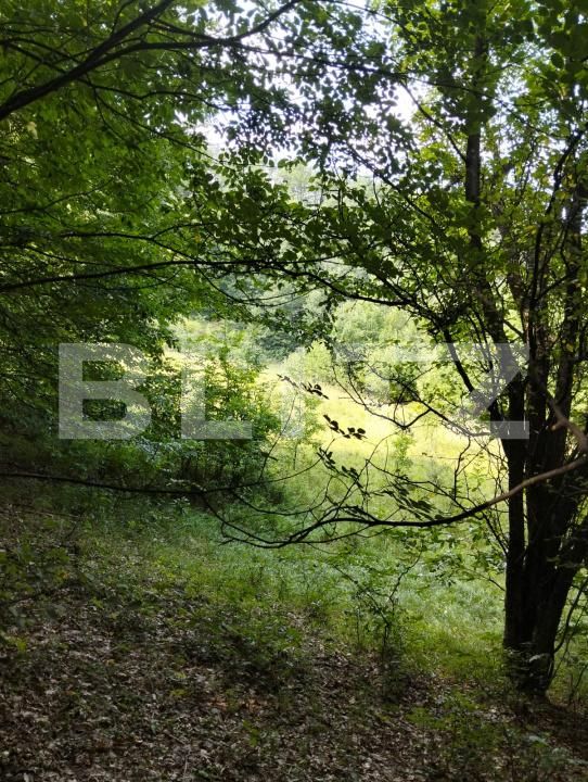 Teren de vânzare Poiana Ampoiului - 186677TV | BLITZ Alba Iulia | Poza13