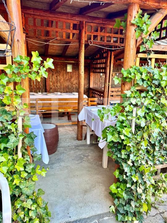 Casa de vânzare 5 camere Micești - 186813CV | BLITZ Alba Iulia | Poza7