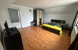 Casă de închiriat cu 4 dormitoare, 260 mp - zona Ampoi, Alba Iulia