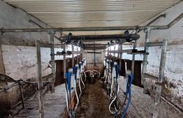 TEREN - GRAJD 6600MP, DEPOZIT, HALA ZONA BLAJ