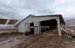 TEREN - GRAJD 6600MP, DEPOZIT, HALA ZONA BLAJ