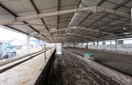 TEREN - GRAJD 6600MP, DEPOZIT, HALA ZONA BLAJ