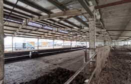 TEREN - GRAJD 6600MP, DEPOZIT, HALA ZONA BLAJ