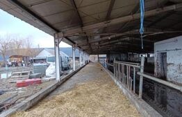 TEREN - GRAJD 6600MP, DEPOZIT, HALA ZONA BLAJ