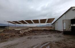 TEREN - GRAJD 6600MP, DEPOZIT, HALA ZONA BLAJ