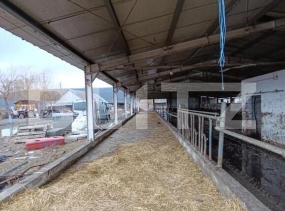 Spațiu industrial de vânzare Valea Lunga - 186944SVI | BLITZ Alba Iulia | Poza5