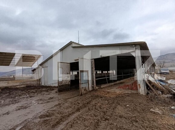 Spațiu industrial de vânzare Valea Lunga - 186944SVI | BLITZ Alba Iulia | Poza1