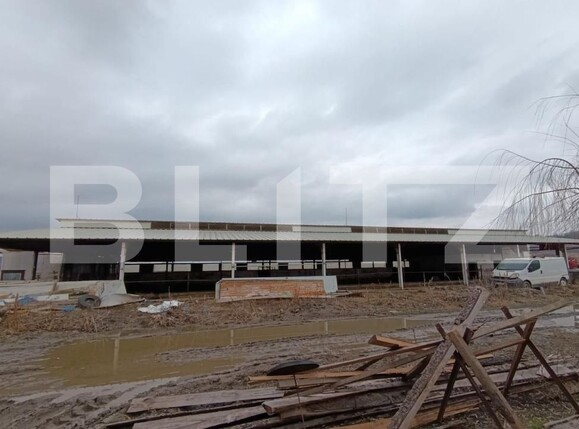 Spațiu industrial de vânzare Valea Lunga - 186944SVI | BLITZ Alba Iulia | Poza3