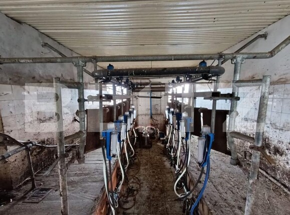 Spațiu industrial de vânzare Valea Lunga - 186944SVI | BLITZ Alba Iulia | Poza7