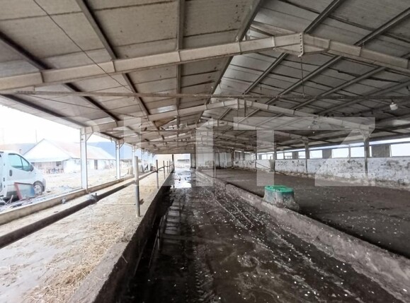 Spațiu industrial de vânzare Valea Lunga - 186944SVI | BLITZ Alba Iulia | Poza4