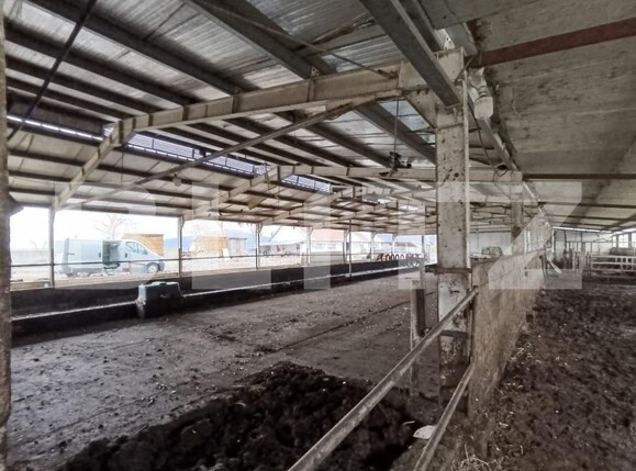 Spațiu industrial de vânzare Valea Lunga - 186944SVI | BLITZ Alba Iulia | Poza2